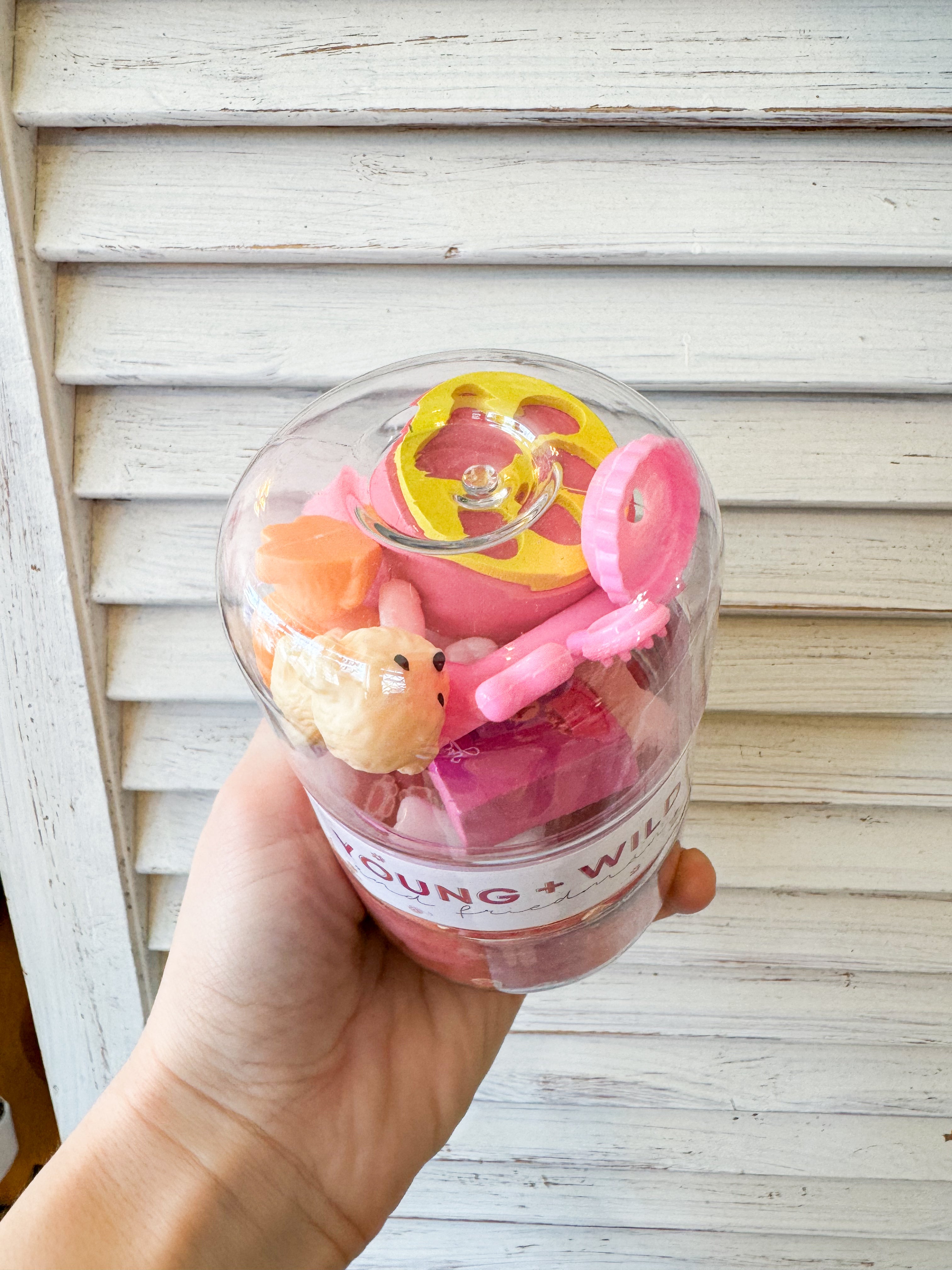 Pink Pet Grab & Go Jar