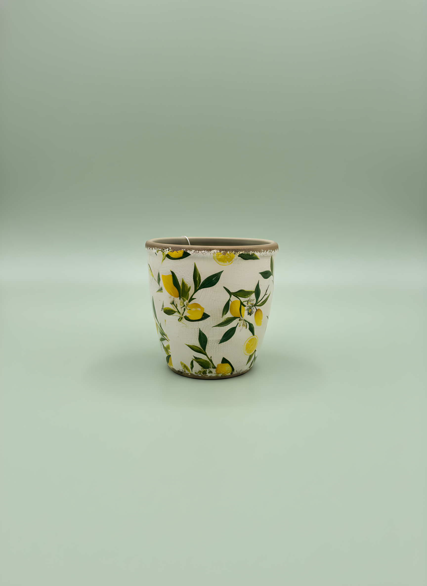 Small Lemon Planter