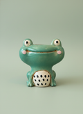 Tony The Frog Planter