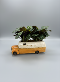 The Classroom Cruiser