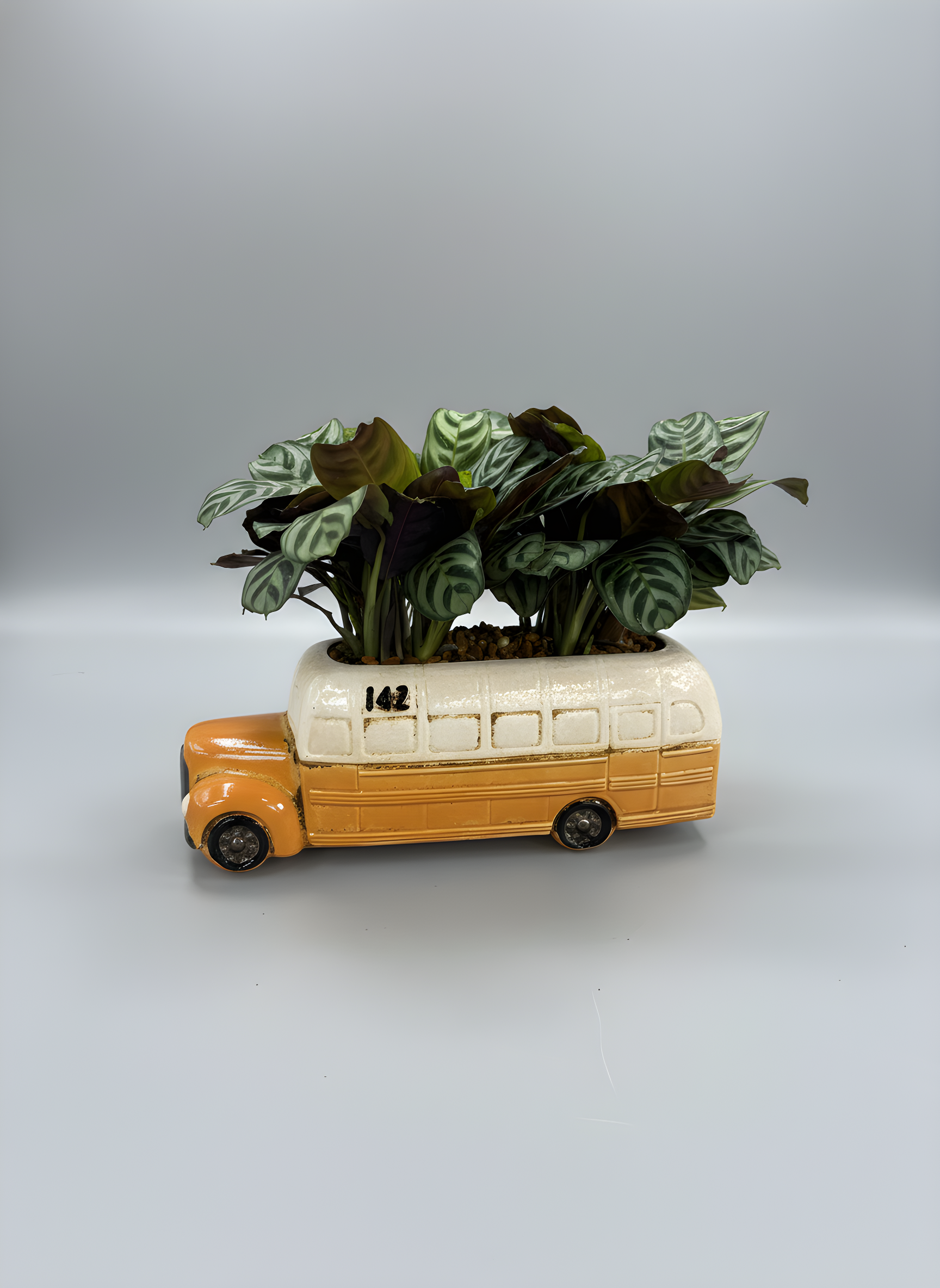 The Classroom Cruiser