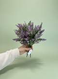 Lavender Sprig