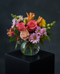 Designer Choice Arrangement